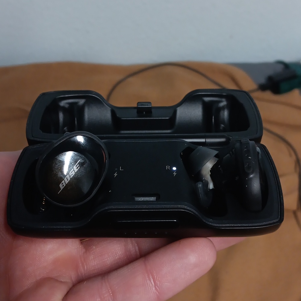 Bose blue tooth earbuds